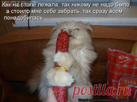 Заходим не думая.... смотрим внимательно...спрашиваем о тонкостях