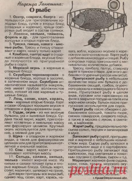О рыбе (полезные советы)