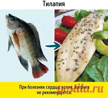 9 видов рыбы, которые не стоит есть
