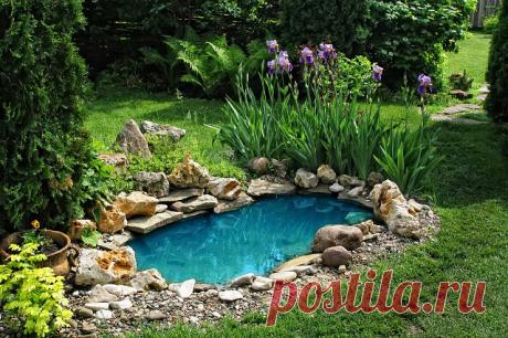 (60) Одноклассники