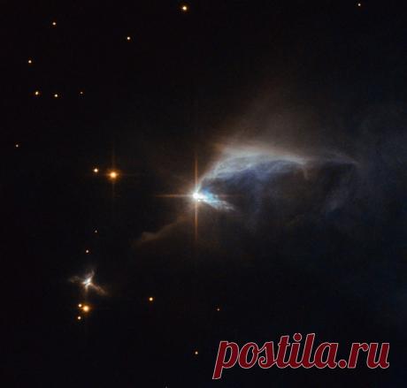 Молодая, почти сформировавшаяся звезда IRAS 00044 + 6521 окутана пылью. / Astro Analytics