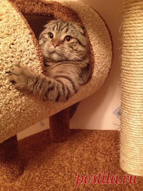 Мой Мир@Mail.Ru