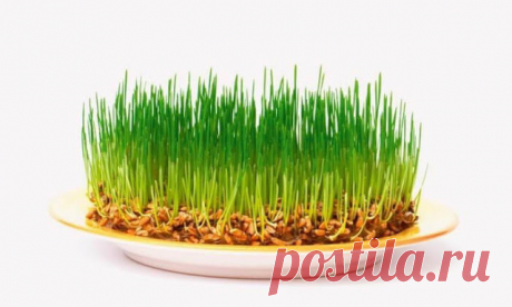 Восстанавливаем гормональный баланс
Правильный гормональный баланс — это залог хорошего самочувствия и настроения, молодости и красоты. Гормоны регулируют наше эмоциональное состояние, работу кишечника, либидо и многое другое. Если не…