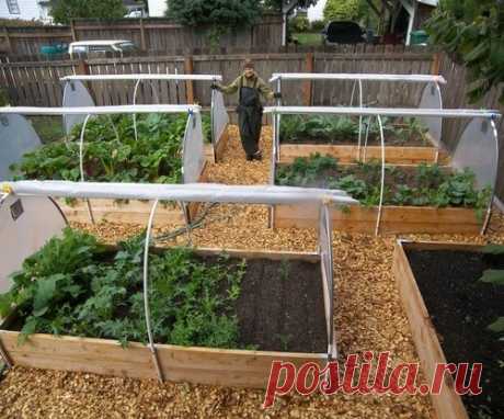 Посадка растений в короб-парник, сделанный своими руками