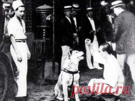 (3) History Time (@tw_thistory) | Твиттер