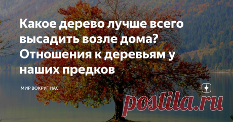 Какое дерево лучше всего высадить возле дома? Отношения к деревьям у наших предков Приветствуем на нашем канале! Что мы вообще знаем про деревья? Как они растут?, Что для жизни обеспечения им необходимо? Какие бывают виды деревьев? Де́рево (лат. árbor) — жизненная форма деревянистых растений с единственной, отчётливо выраженной, многолетней, в разной степени одревесневшей, сохраняющейся в течение всей жизни, разветвлённой (кроме пальм) главной осью — стволом. Общее число д...