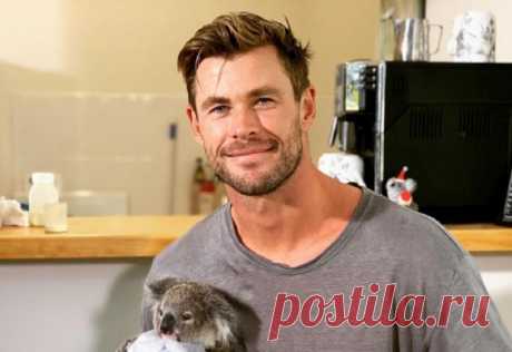 Особняк Криса Хемсворта выставлен на продажу: фото дома звезды "Мстителей"