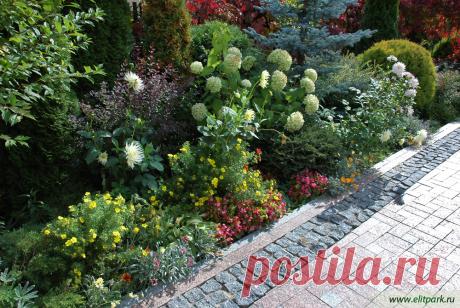 КРАСИВАЯ КЛУМБА ИЗ МНОГОЛЕТНИКОВ...