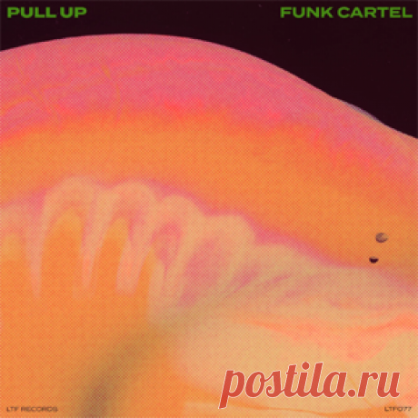 Funk Cartel - Pull Up | 4DJsonline.com