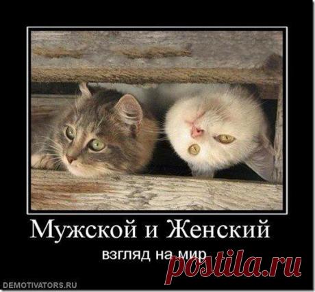 ВОЗРОЖДЕНИЕ НРАВСТВЕННОСТИ!