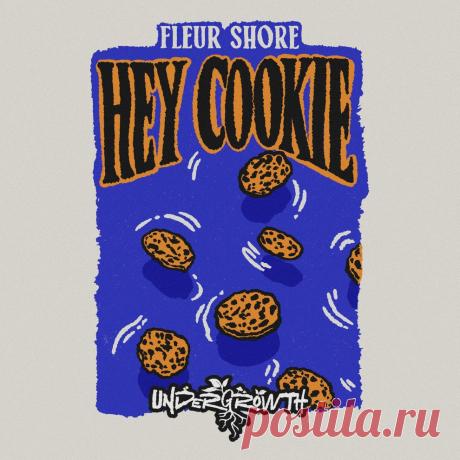 VIP - Fleur Shore - Hey Cookie | DJ | SoundMasters | Service
