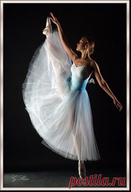 Пируэт и еще пируэт.Ложь владычества гордого танца.Опрокинулся сном силуэт ,освещенного рампой пространства.(волшебная страна книг)