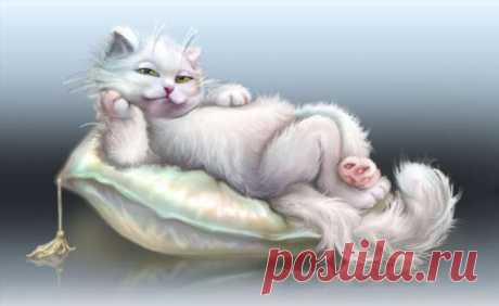 Пуси-пуси юмор для девушек и женщин. Подборка прикольных картинок и фото №ofigennaja-33390302012020 | Офигенная