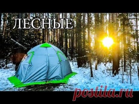 СЕКРЕТЫ ТЕПЛОЙ ПАЛАТКИ | ОБОГРЕВ ПАЛАТКИ | ЖИЗНЬ В ПАЛАТКЕ ОТ А ДО Я