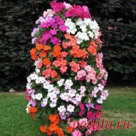 Усадьба | Своми руками : Вертикальный цветник