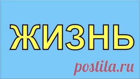 ЖИЗНЬ