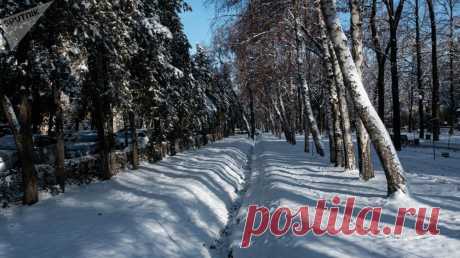 Морозное утро и солнечный день — 14 фото зимнего Бишкека