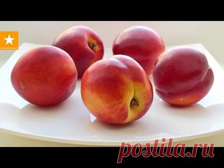 Что я ем. Питание одного дня и мои общие принципы питания для стройности и здоровья