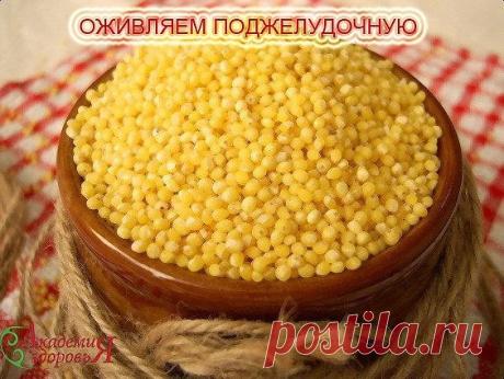 ОЖИВЛЯЕМ ПОДЖЕЛУДОЧ.