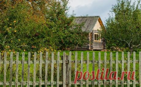 Какие документы нужно проверить, покупая дачу? - Полезные советы : Domofond.ru