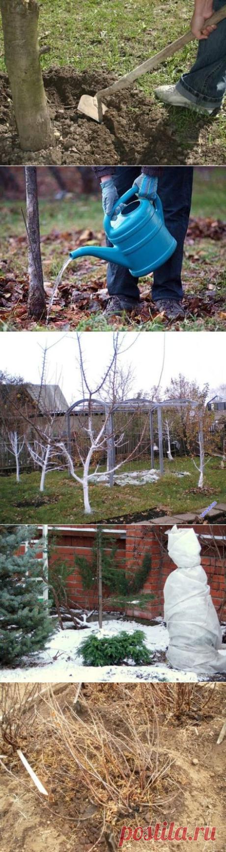 Как подготовить сад к зиме / подготовка к зиме / 7dach.ru