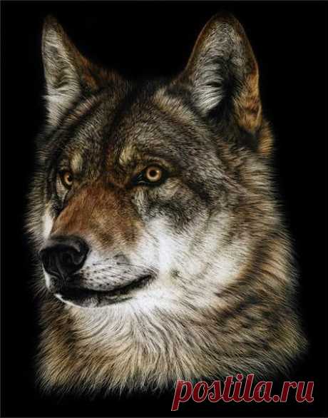 реалистичный граттаж Кристины Пенеску | worldhobbies.ru