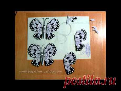 Квиллинг. Бабочки. Мастер-класс.