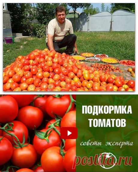 (2) Одноклассники
