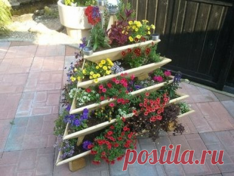 Идея для сада: сборная клумба