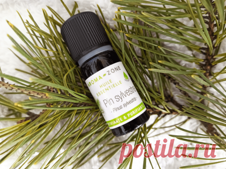 Эфирное масло сосны: большая сила крошечной капли. Надо ли рассказывать о том, как легко и свободно дышится в сосновом бору? Причина – в эфирах, которыми деревья насыщают воздух.