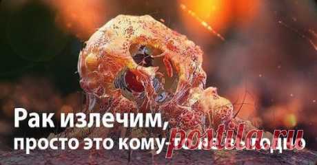 РАК – ЭТО ГРИБКОВОЕ ЗАБОЛЕВАНИЕ… И ОНО ИЗЛЕЧИМО
Рак – излечимая грибковая инфекция. Очень похоже на то, что медицинская мафия использует слово «рак», как обманку для последующего массового убийства людей с помощью радио- и химиотерапии. Процедуры эти очень дорогие, но работают хорошо – убивают абсолютно всех.
Предлагаем вашему вниманию перевод статьи Дэвида Айка, оригинал которой на английском языке вы можете легко найти в интернете.
Цифры, конечно, впечатляющие. Восемь миллионов людей умир