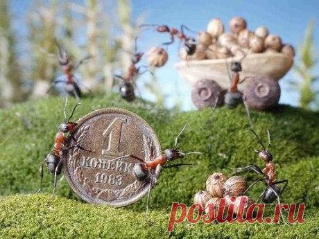 Одноклассники