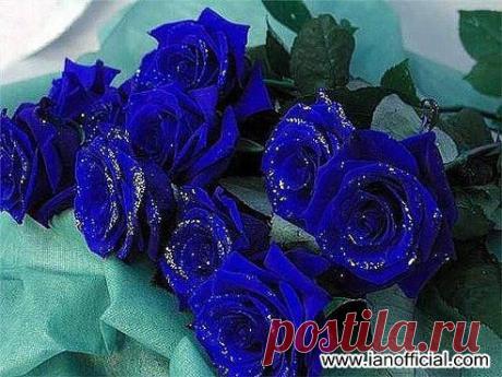 ✿ Отправь друзьям ✿
☑ ✿ Отправь букет друзьям ✿ : Группа по интересам. Творчество : Одноклассники