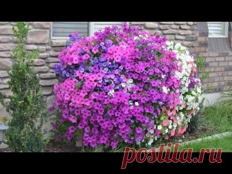 Pallet Planter Box for Amazing Cascading Flowers