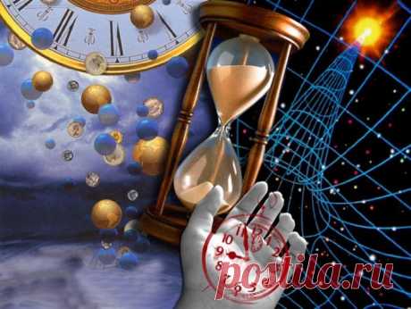 Биологические ритмы организма