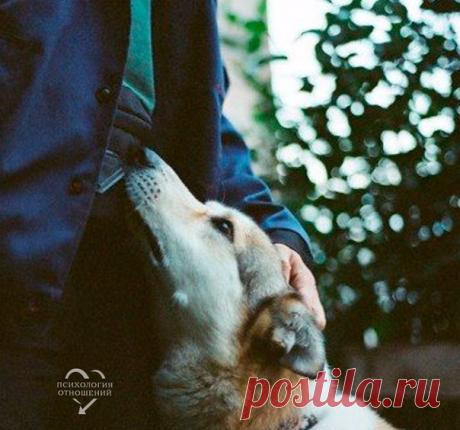 В характере человека есть три золотых качества: терпение, чувство меры и умение молчать. Иногда в жизни они помогают больше, чем ум, талант и красота.