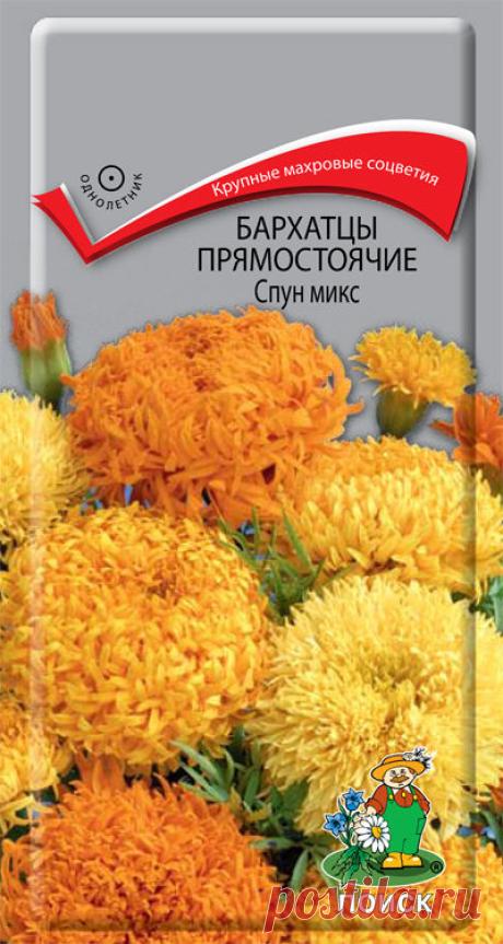 Семена "Бархатцы (Тагетес) прямостоячие. Спун Микс", (вес: 0,1 г) | Купить с доставкой | My-shop.ru