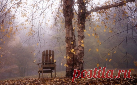 (19) Одноклассники