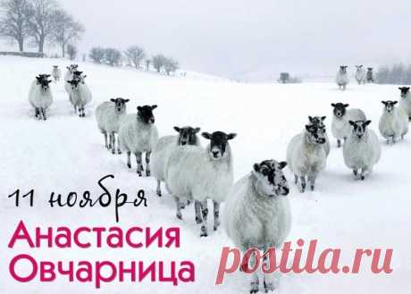 Если 11 ноября считался днем овчаров и пастухов, то 12 ноября поздравляли рыбаков и охотников. Открытки на День памяти Аврамия Овчар и Анастасии Овечницы!