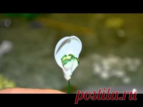 МК подснежник из фоамирана ...