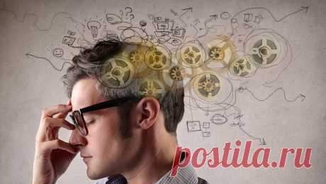 Объем человеческой памяти равен одному квадриллиону байт - Газета.Ru