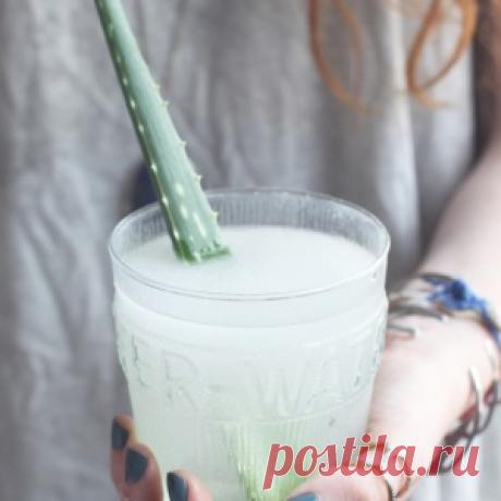 Квок: конструкция и ловля - МирТесен