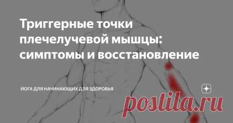 Триггерные точки плечелучевой мышцы: симптомы и восстановление Статья автора «Йога для начинающих для здоровья» в Дзене ✍:   Плечелучевая мышца — ключевая мышца предплечья. Она сгибает локоть и стабилизирует предплечье.