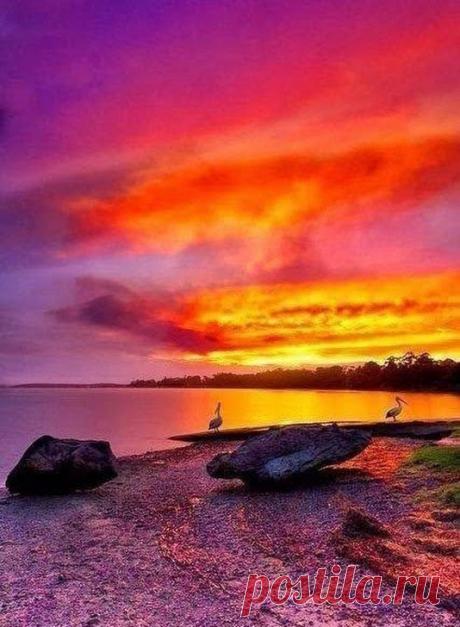 Zulya S - Google+