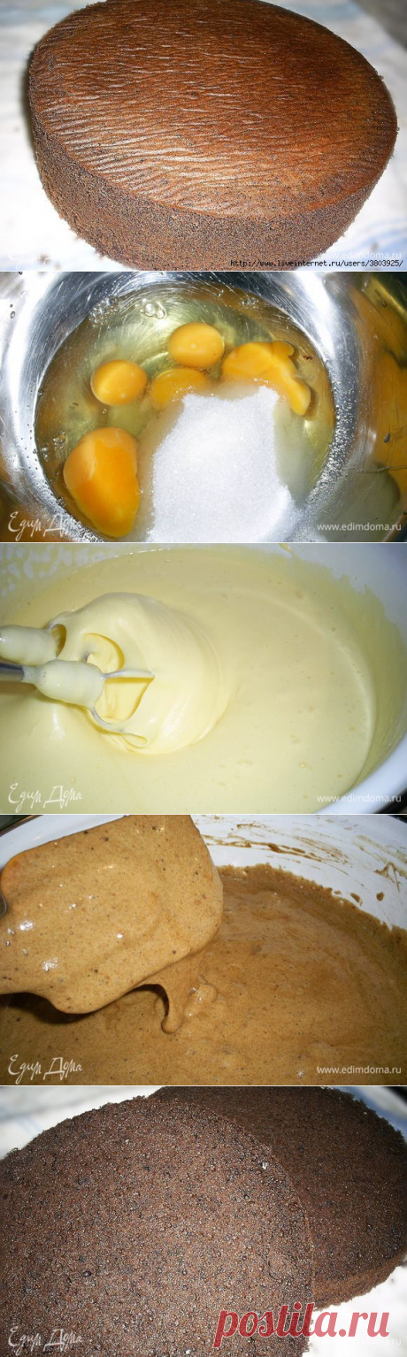 Изумительный шоколадный бисквит - очень "послушный": рарезается на 2, 3 и даже 4 пласта