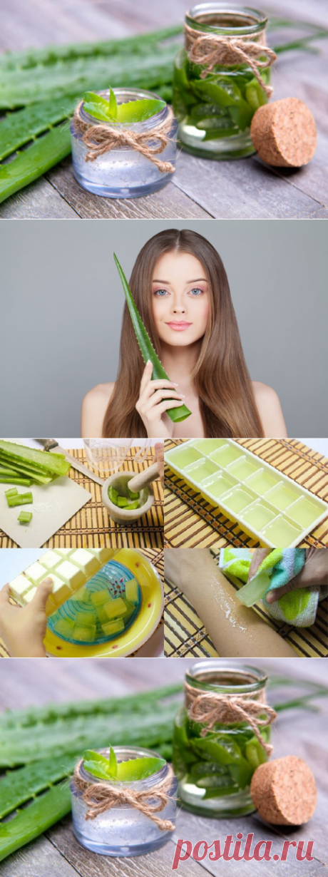 Алоэ - настоящий борец за женскую красоту!