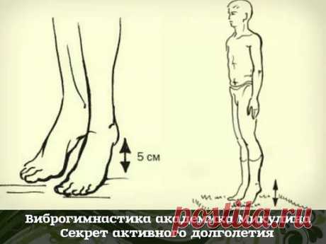 Секрет долголетия
Академик Микулин создал гимнастику, состоящую из простейших упражнений, своеобразных сотрясений — ударах пятками о пол. Эта методика позволяет улучшить кровоток, предотвратить закупорку вен и нормализовать давление. Также улучшается работа мозга: от тяжести и боли в голове не остается и следа.
Встань прямо, стопы соедини, зубы сожми. Приподними пятки на 3–5 см от пола, затем резко опустись. В результате возникшего встряхивания венозные клапаны получают дополнительный импуль
