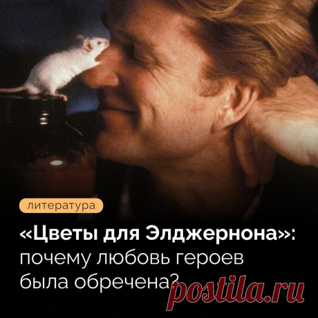 «Цветы для Элджернона»: почему любовь героев была обречена?
Роман «Цветы для Элджернона» (1966) стал одним из самых популярных у Дэниела Киза. В этом научно-фантастическом произведении ставятся непростые вопросы о самоопределении человека в мире, отношении...
Читай дальше на сайте. Жми подробнее ➡
