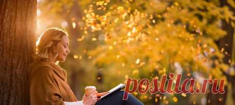 Эти книги сделают вечер уютным, а утро приятным, вдохновят и утешат, дадут повод для улыбки и темы для серьезного обсуждения с друзьями.