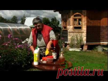 Приготовление ЭМ-5 в домашних условиях